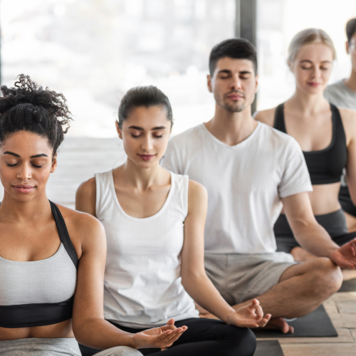 You in Wellness program